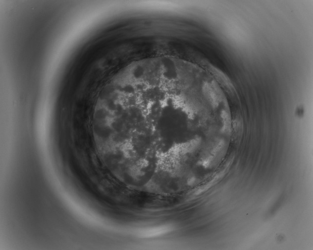 X0000102480765200808221707