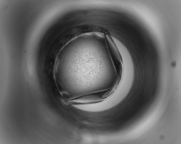 X0000102480766200808221707