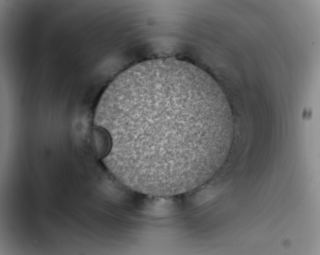 X0000102480768200808221707