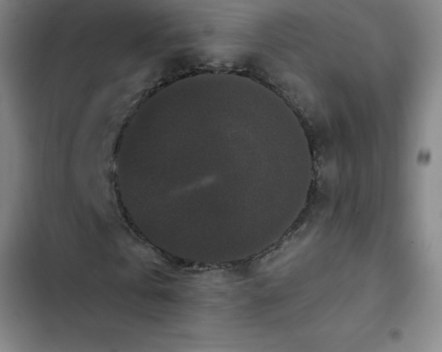 X0000102480769200808221706