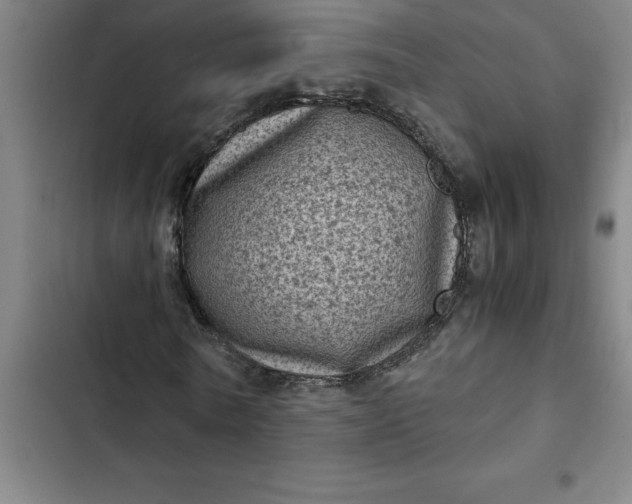 X0000102480770200808221706