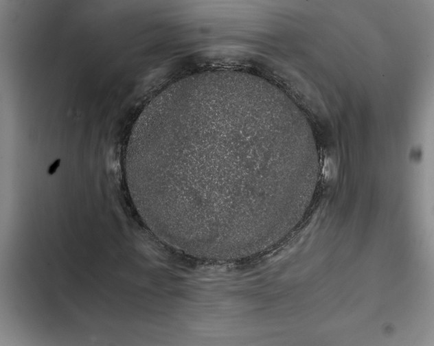 X0000102480771200808221706