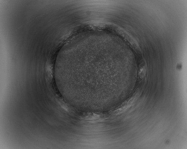 X0000102480772200808221706