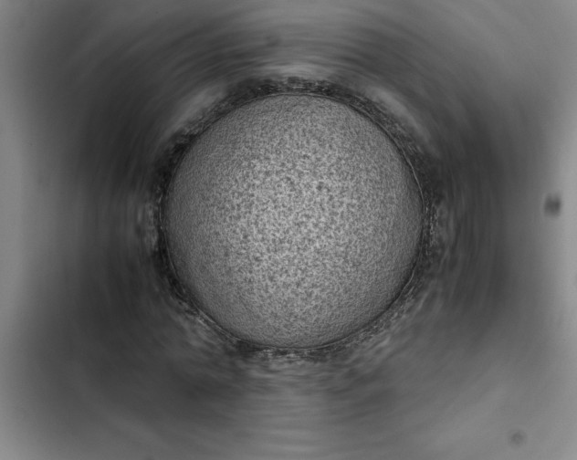 X0000102480774200808221706