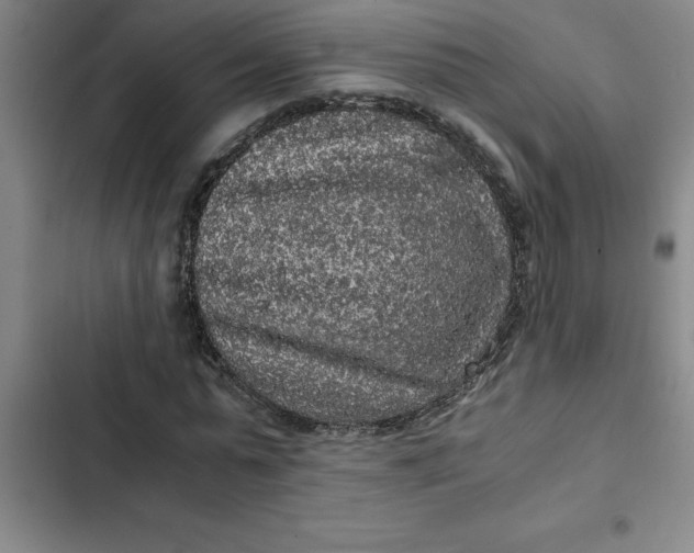 X0000102480775200808221706