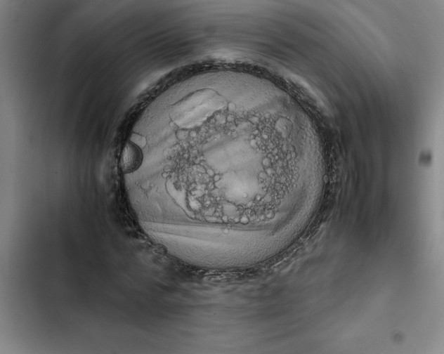 X0000102480776200808221706