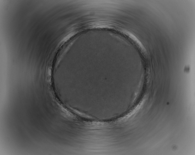 X0000102480777200808221706