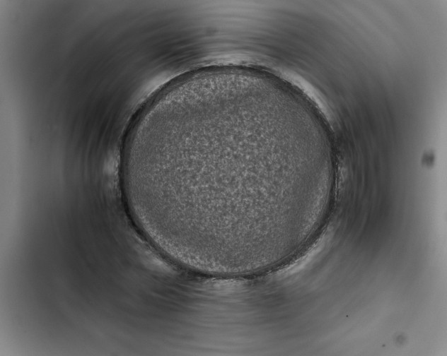 X0000102480778200808221706