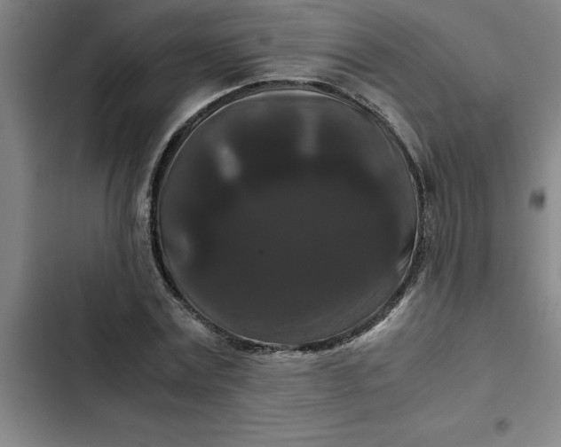 X0000102480779200808221706