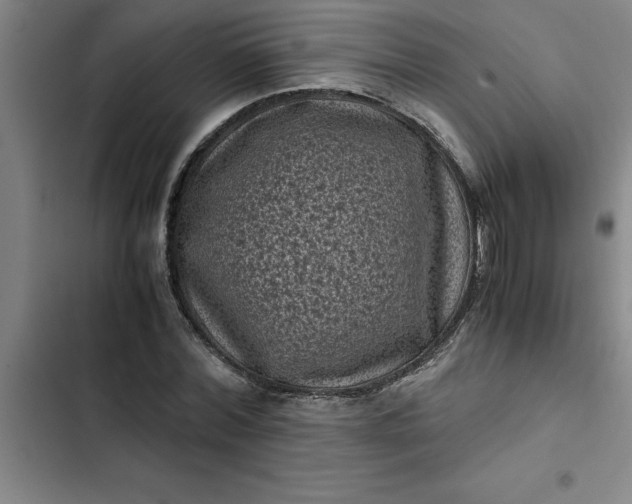 X0000102480780200808221706