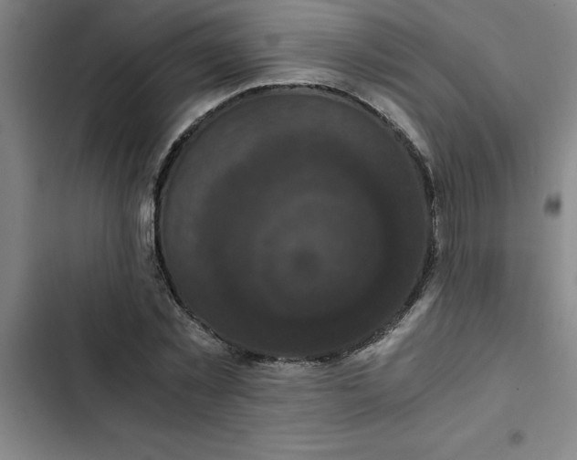 X0000102480781200808221706