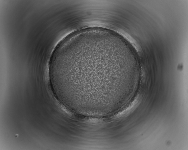 X0000102480782200808221706