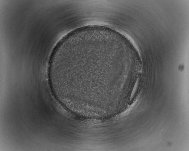 X0000102480783200808221706