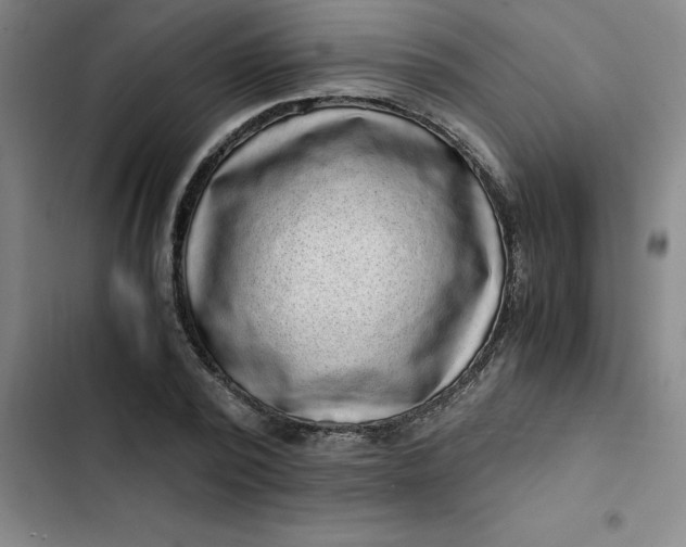 X0000102480784200808221706