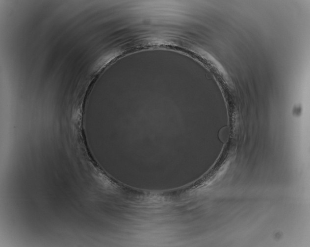 X0000102480785200808221706