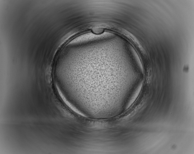 X0000102480786200808221706