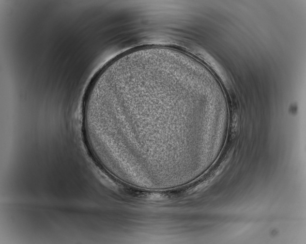 X0000102480787200808221706