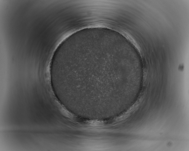 X0000102480789200808221706