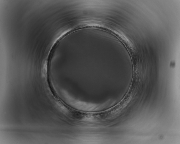 X0000102480790200808221706