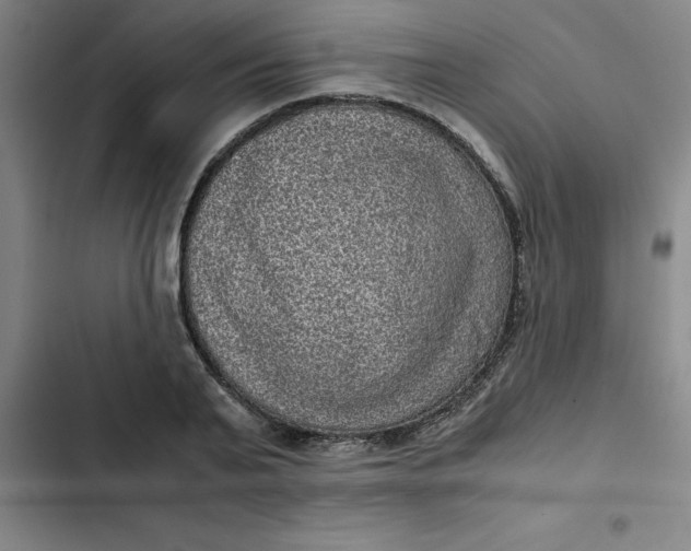 X0000102480791200808221706