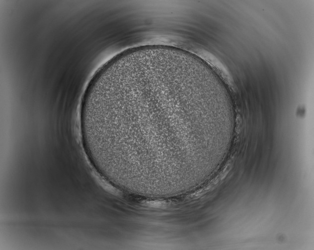 X0000102480792200808221706