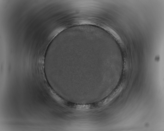 X0000102480793200808221706