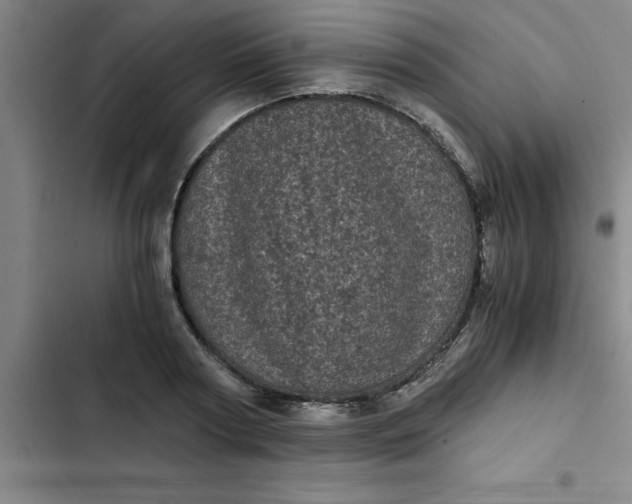 X0000102480794200808221706