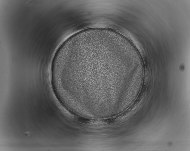 X0000102480795200808221706