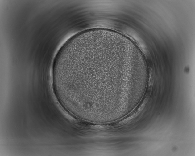 X0000102480796200808221706