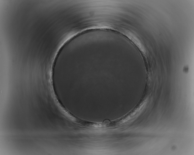 X0000102480797200808221706