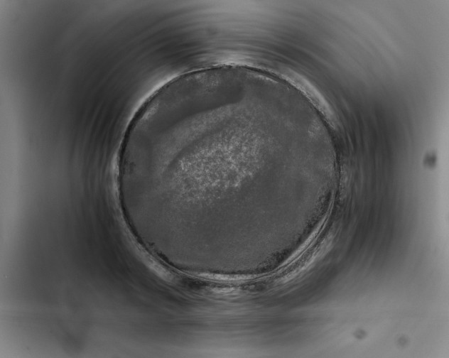 X0000102480798200808221706