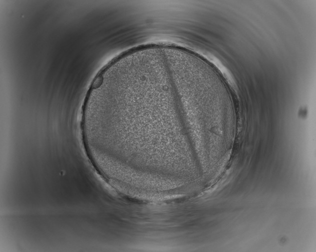 X0000102480799200808221706