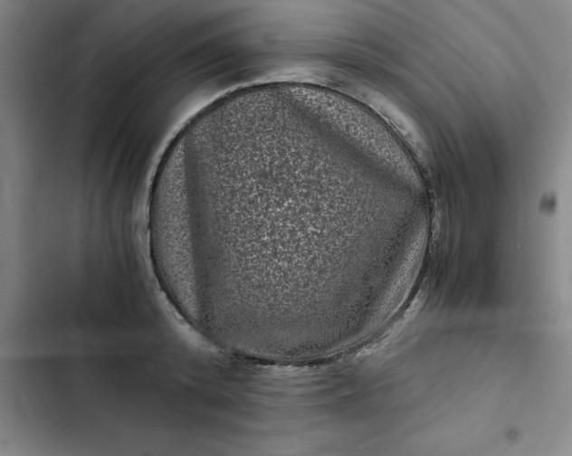 X0000102480800200808221706