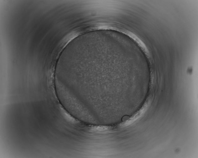 X0000102480801200808221706