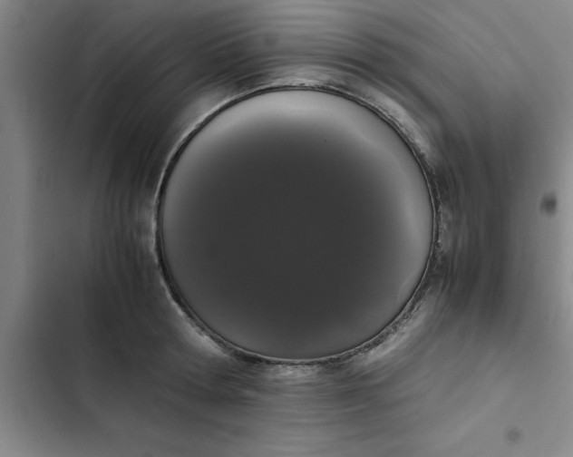 X0000102480802200808221706