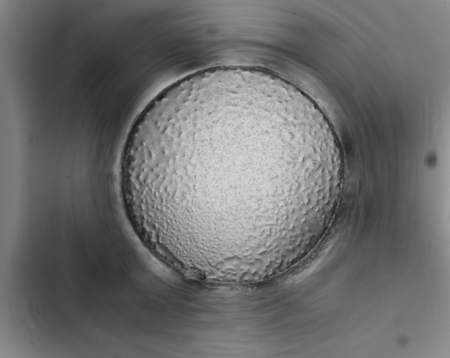 X0000102480803200808221706