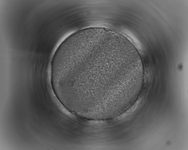 X0000102480804200808221706