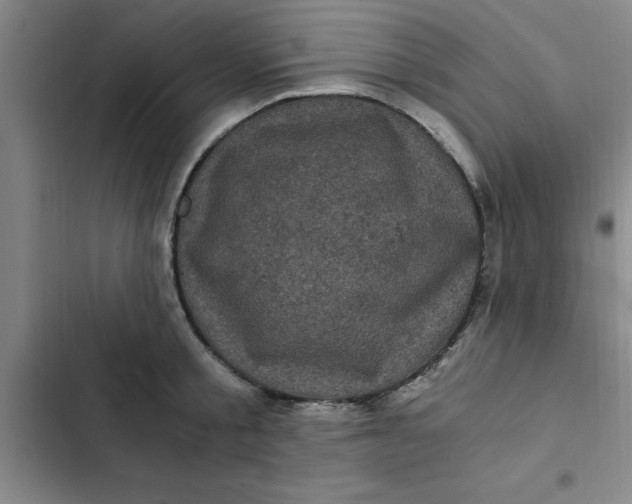 X0000102480805200808221706