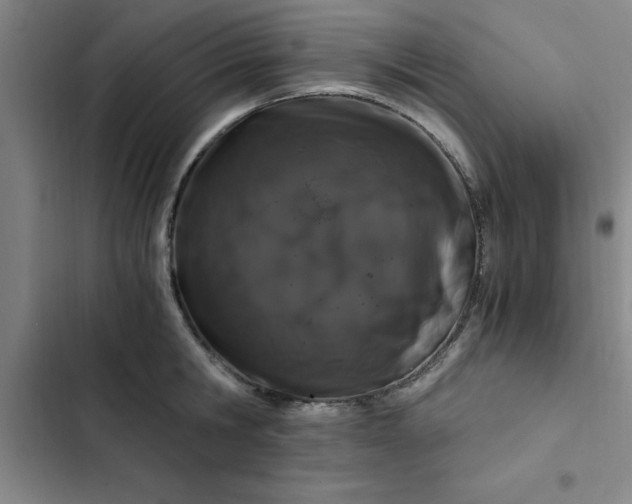 X0000102480806200808221706