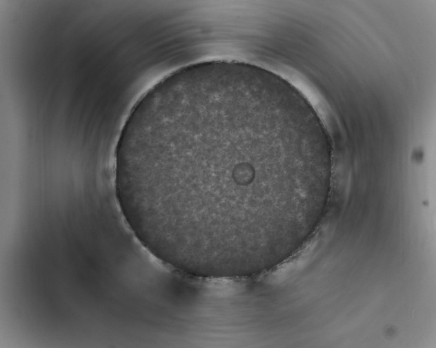 X0000102480807200808221705