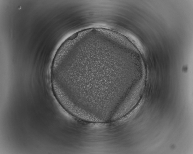 X0000102480808200808221705