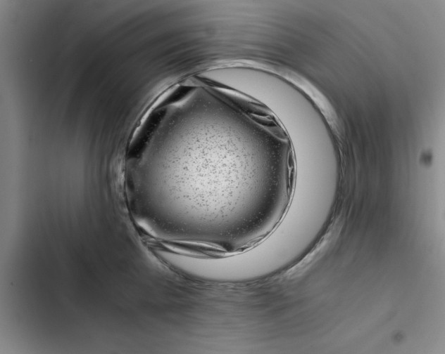 X0000102480809200808221705