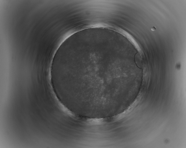 X0000102480810200808221705