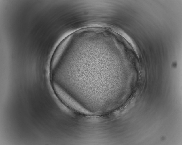 X0000102480811200808221705