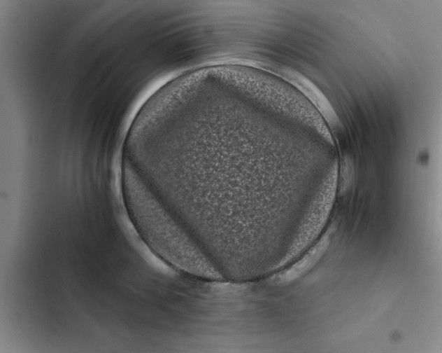 X0000102480812200808221705