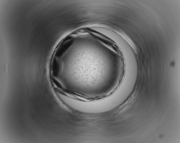 X0000102480813200808221705