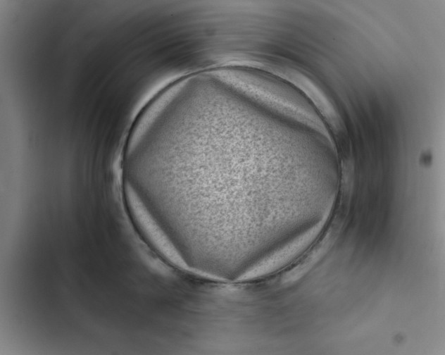 X0000102480814200808221705