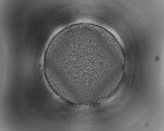 X0000102480815200808221705