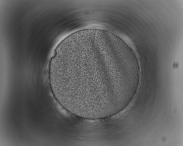 X0000102480816200808221705