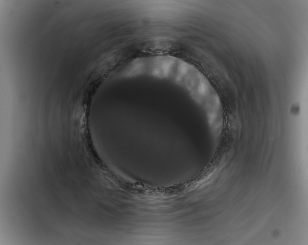 X0000102480818200808221705